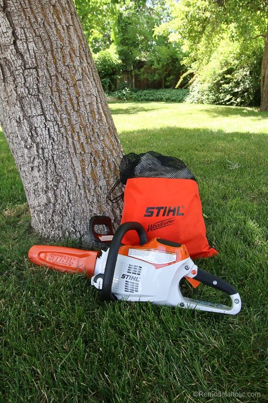 Stihl Chainsaw Safety Considerations @Bekob 77