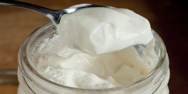 Yogis Welcome; Yogurt Recipe