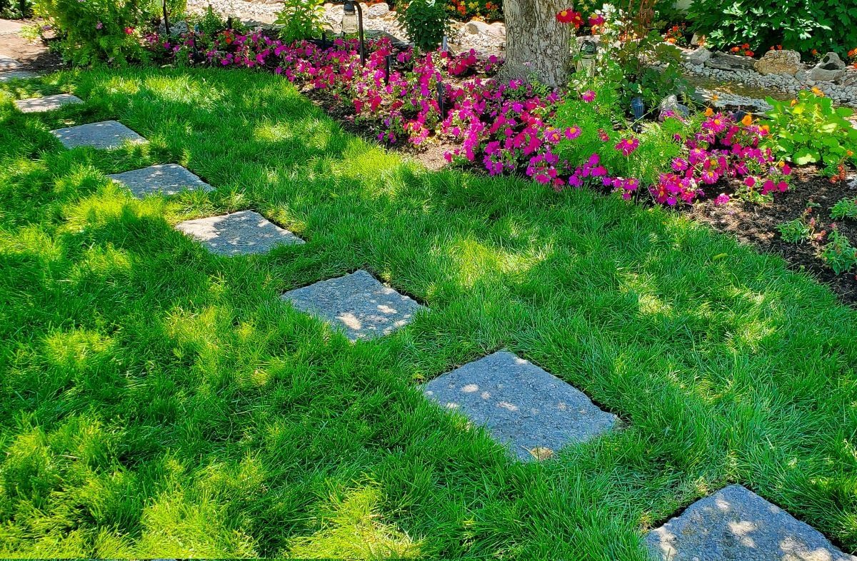 Diy poured concrete stepping stones with rustic look Garden Path options To Handmade 14