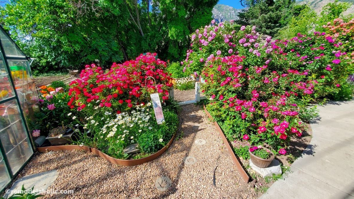 Handprint Stepping Stones, Garden Path options To Handmade 05 1