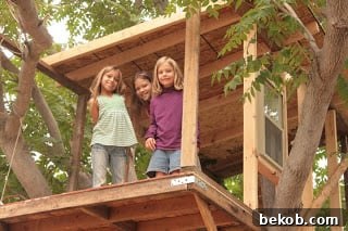 featured 10643 1