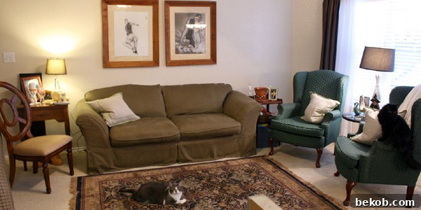 featured 11730