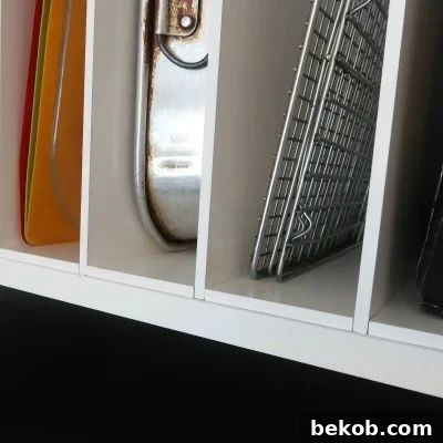 featured 124480