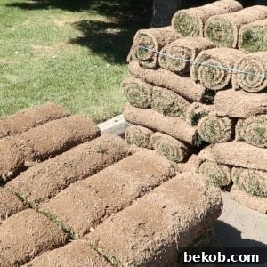 featured 125259