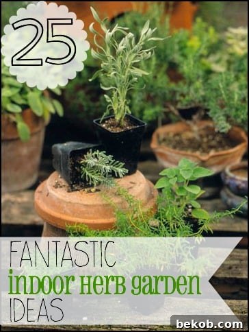 featured 4574