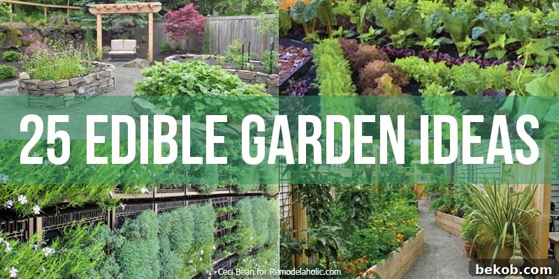 25 Delicious Ways to Grow Your Own Food - Bekob