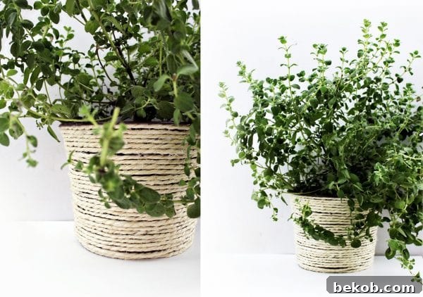 DIY Flower Pot by Minimal Crafts, a simple upgrade for indoor or outdoor plants.
