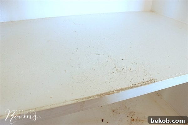 Preventing Damage to Pantry Shelves: Before Painting