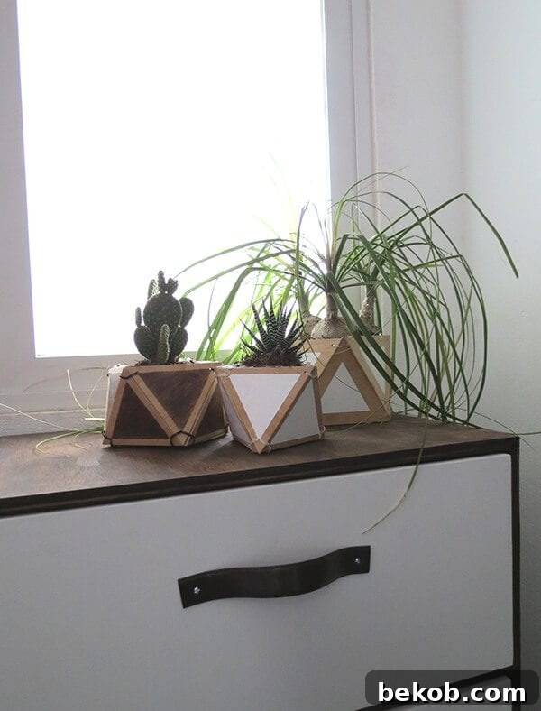 Clever Plywood Scrap Builds 7 Stylish geometric planters crafted from plywood scraps, perfect for showcasing succulents and small plants with a modern aesthetic.