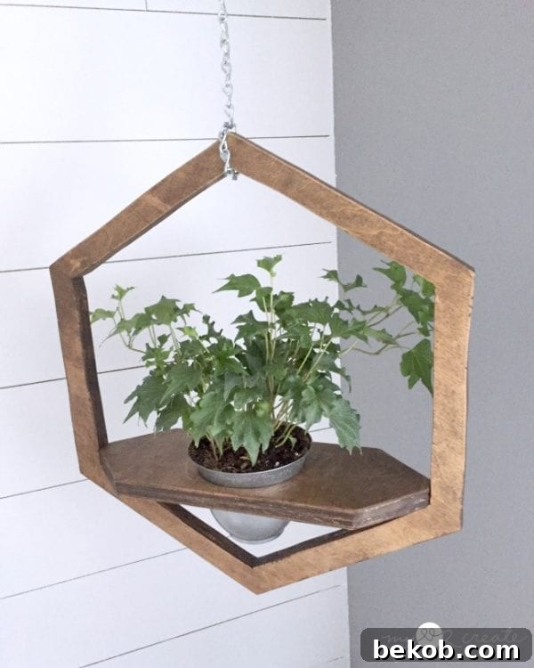 Clever Plywood Scrap Builds 8 A chic hexagon hanging planter made from plywood, ideal for vertical gardening and adding a touch of modern design to your walls.