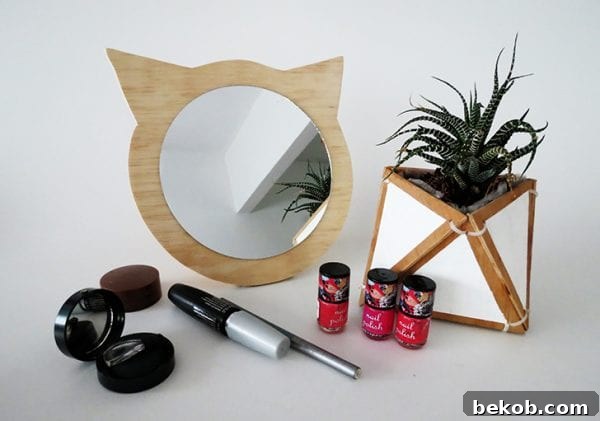 Clever Plywood Scrap Builds 7 A whimsical DIY cat mirror crafted from plywood, perfect for adding a playful and unique touch to a child's room or pet lover's home.
