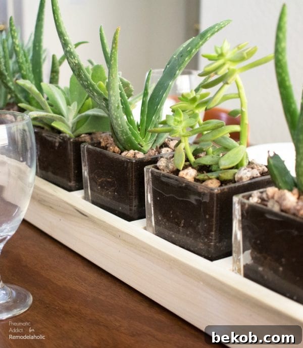 Easy Long Wood Glass Succulent Table Centerpiece