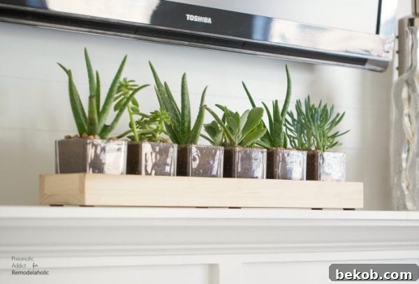 Long Wood Glass Diy Planter Close