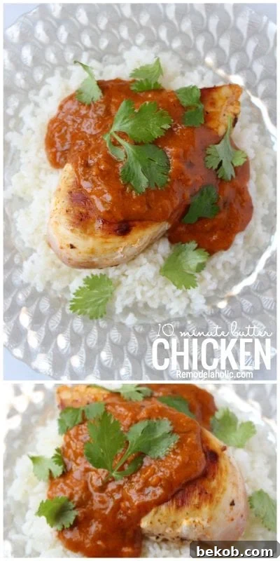 A Simple And Quick Dinner Recipe For 10 Minute Butter Chicken via Remodelaholic.com