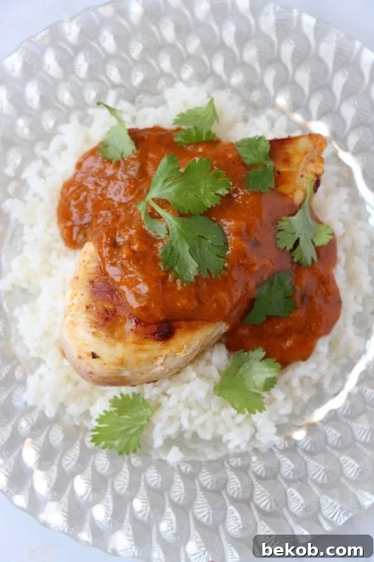 A simple and quick dinner recipe for 10 minute butter chicken via Remodelaholic.com
