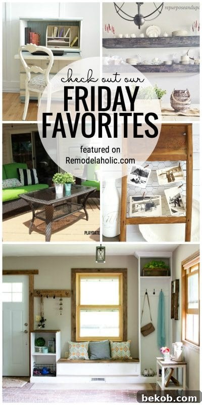 Check Out Our Friday Favorites For This Week: Vintage Bike Planter & Spray Painted Outdoor Cushions