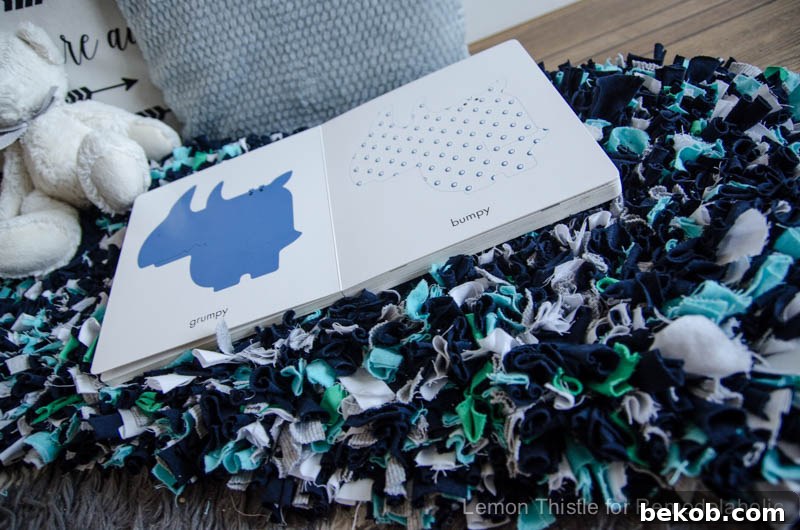Small Rag Rug Project Book DIY Rag Rug Mastery: Insider Tips and Creative Twists - Bekob