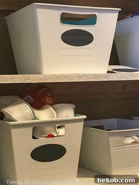 Pantry shelves with uniformly colored bins and neatly arranged items