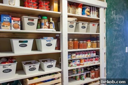 Finished organized pantry, showing the impressive transformation