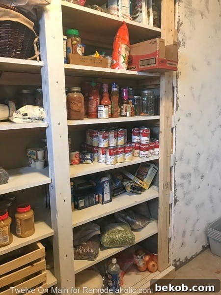 Another view of the cluttered pantry showing various items out of place