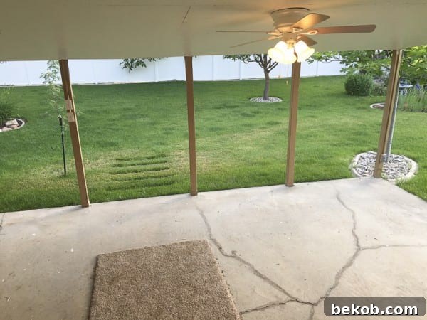 Before Photo: Overview of a Covered Concrete Patio Before Painting