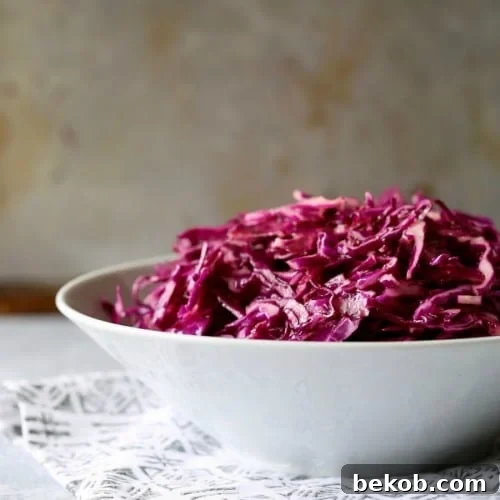 Red Cabbage Coleslaw ready to serve