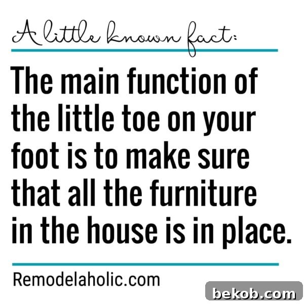 Friday Spotlight Incredible Architectural Visions 16 A Humorous Warning: The Treacherous Journey of Your Baby Toe and Furniture Meme
