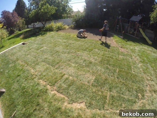 Tips For Laying Your Own Sod #remodelaholic