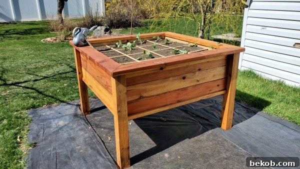 DIY raised garden bed