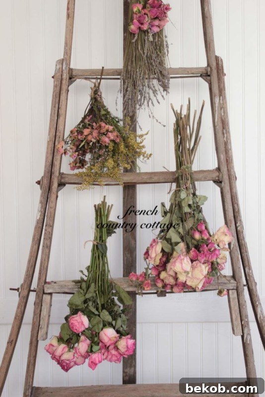 DIY Ladder Decor Ideas: Decorate Old Wooden Orchard Ladder With Dried Flowers, French Country Cottage