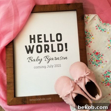 3 Creative Gender Reveal Photo Ideas 3 Easy Printable Gender Reveal Sign Announcement