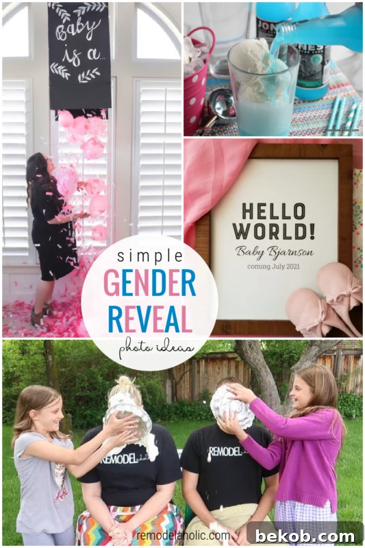 3 Creative Gender Reveal Photo Ideas 10 Simple Gender Reveal Photo Ideas