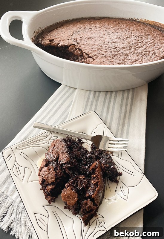 Chocolate Brownie Baked Oatmeal Not Vegan Foodieaholic 09