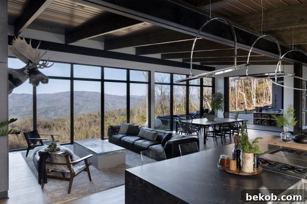 Open Concept Living Room and Kitchen Design in a Tender Living Home