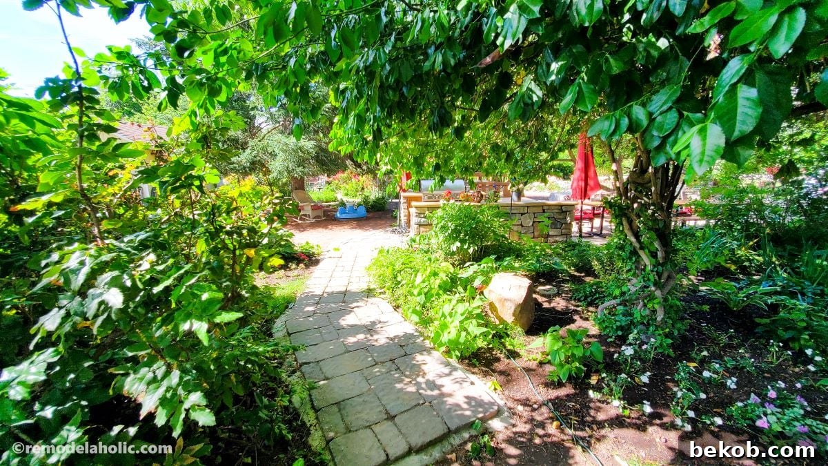 Stone paver walkway surrounded by greenery