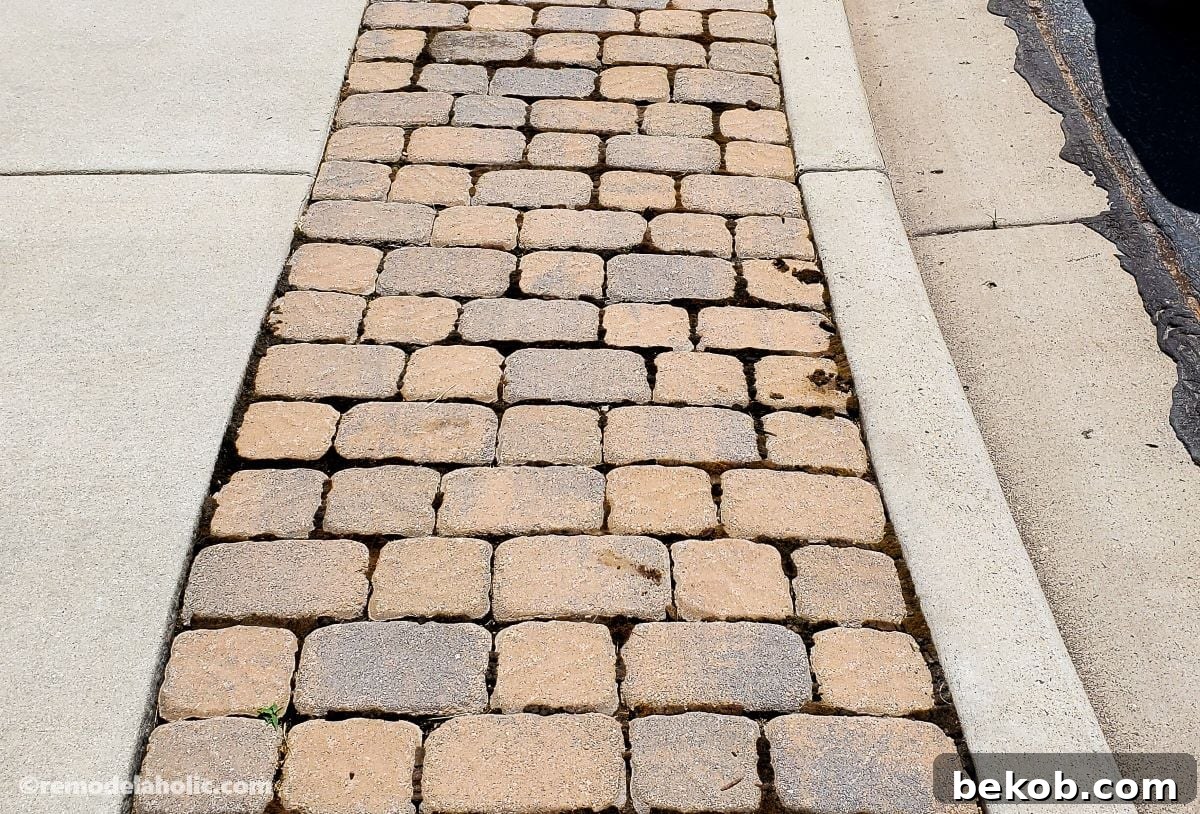 Paver pathway with moss