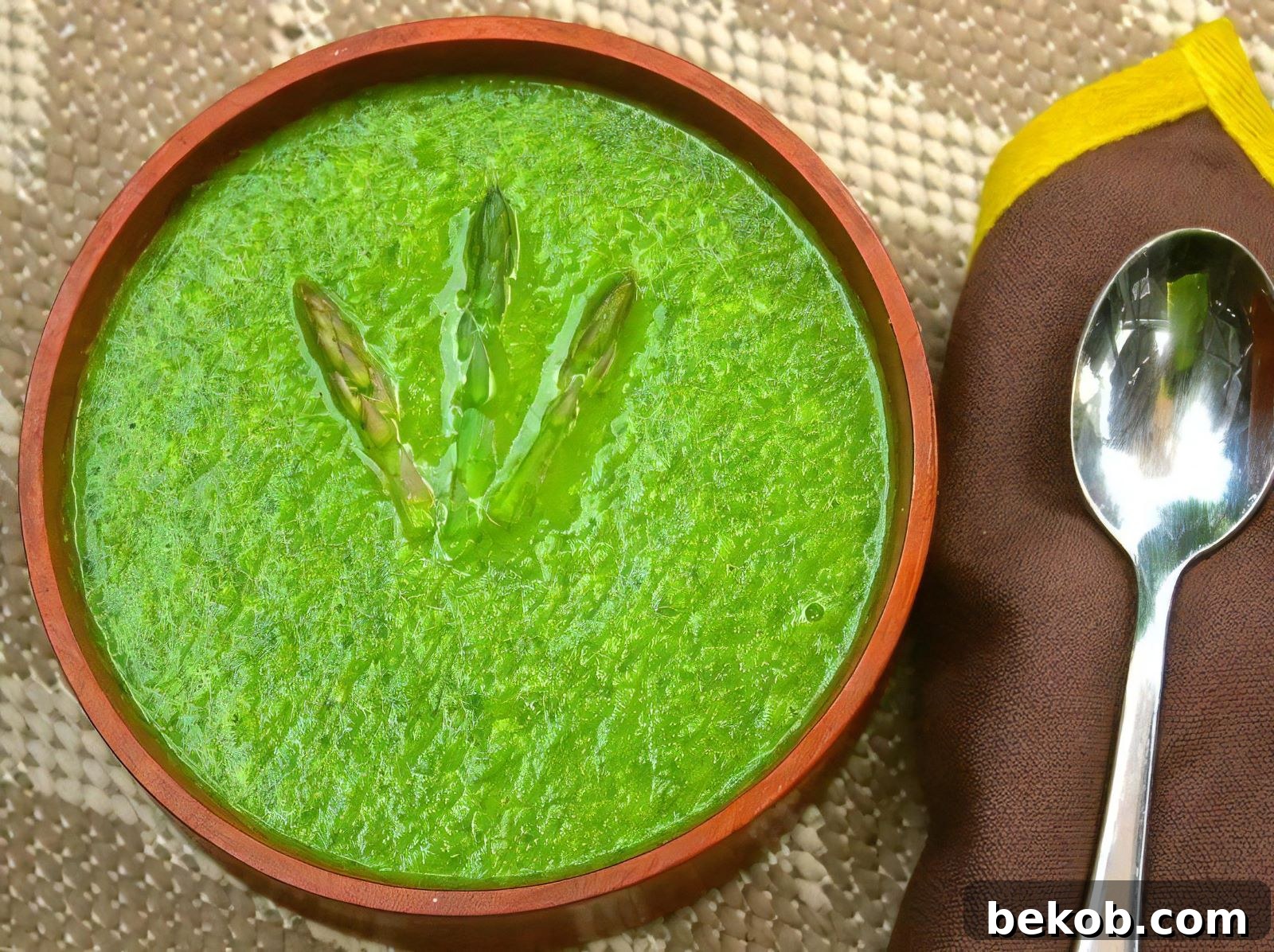 Flavorful Chilled Asparagus Soup