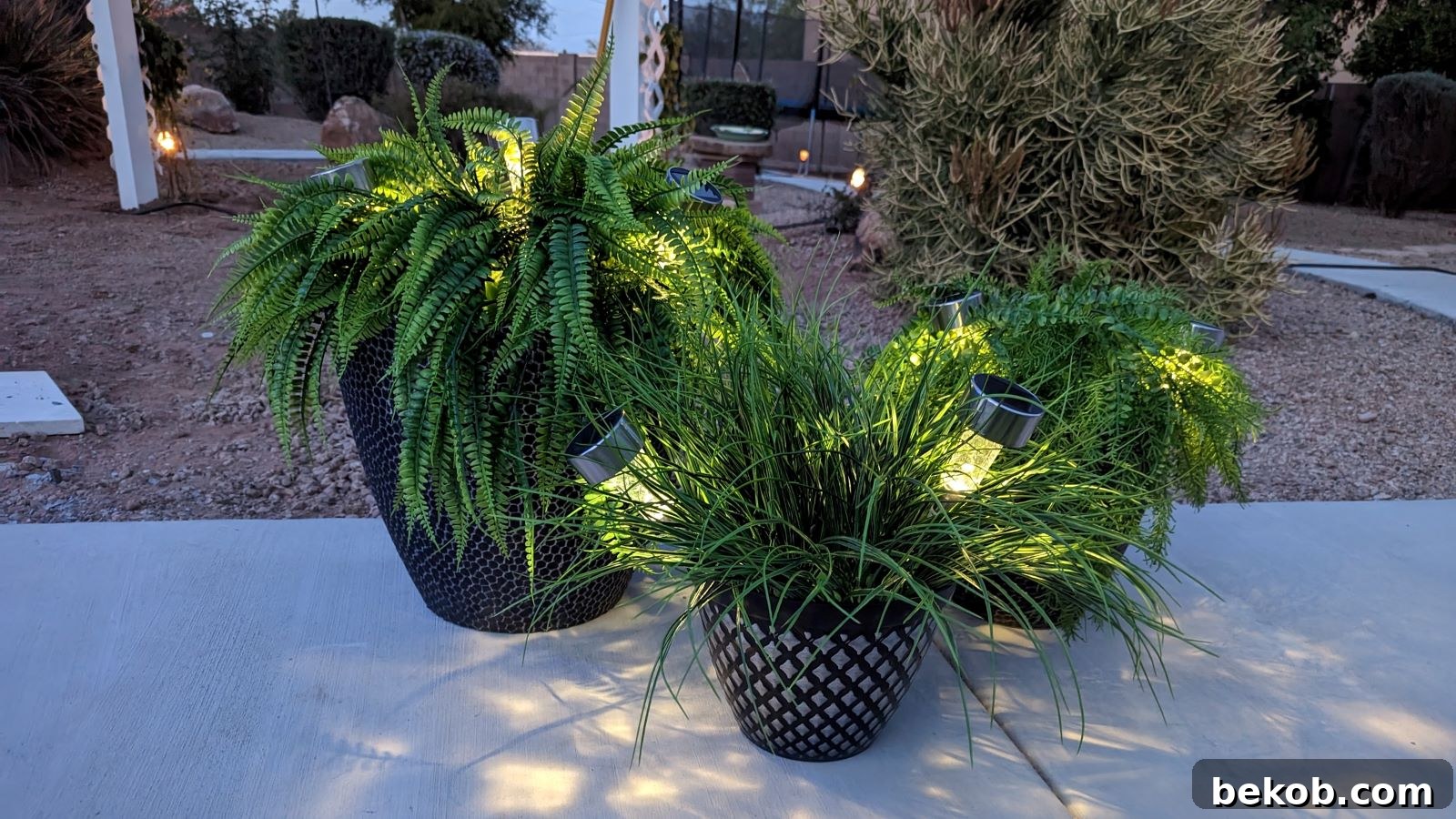 DIY Faux Potted Outdoor Plants With Solar Lights Msn Sized