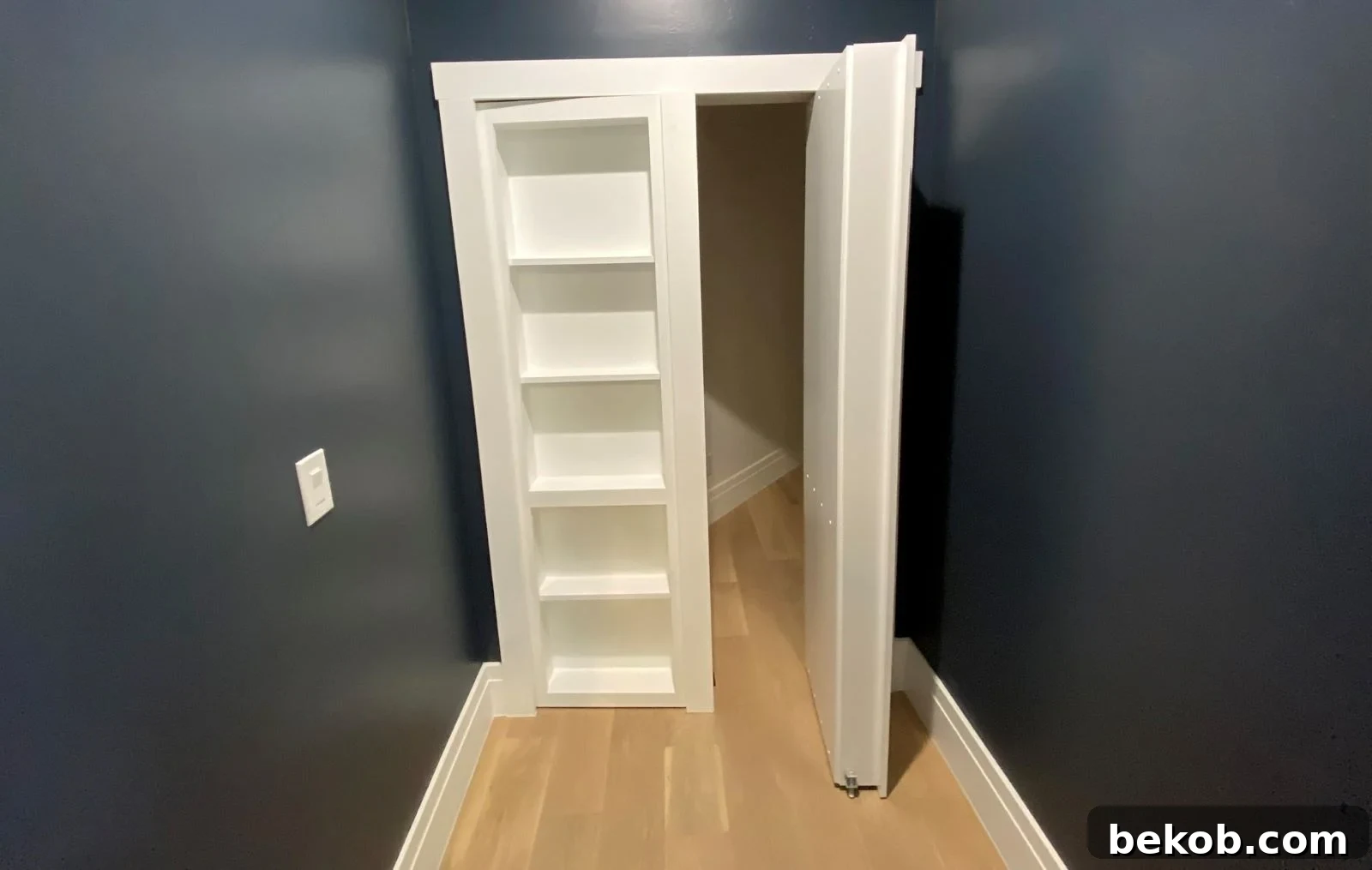 Secret Bookshelf Door