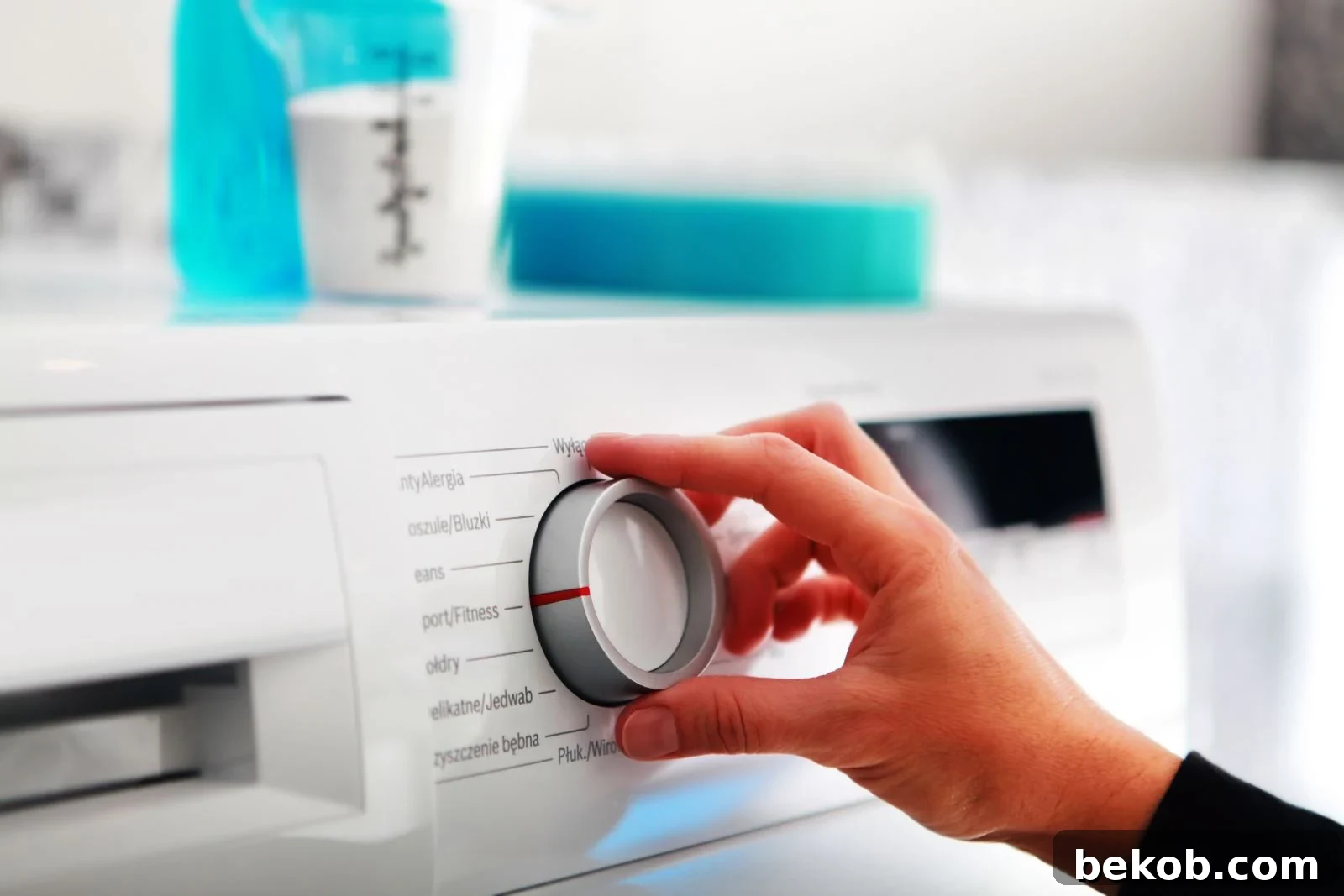 Energy-Efficient Appliances for Home Value