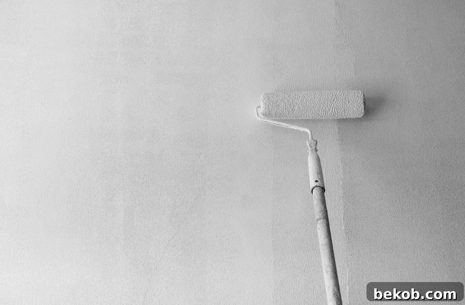 Paint Roller Long