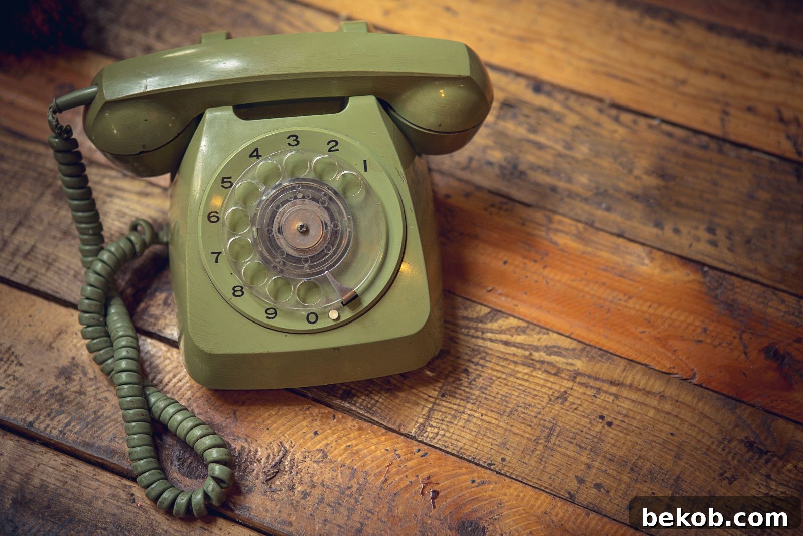 Rotary Phone
