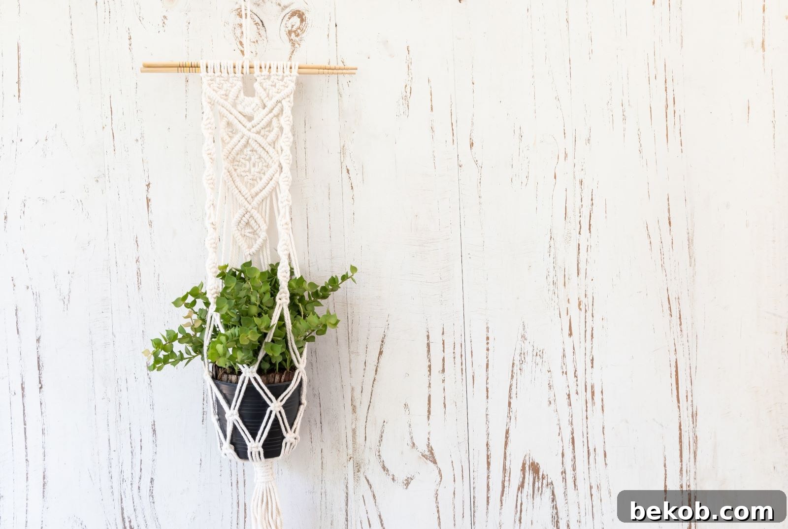 Macrame Planter