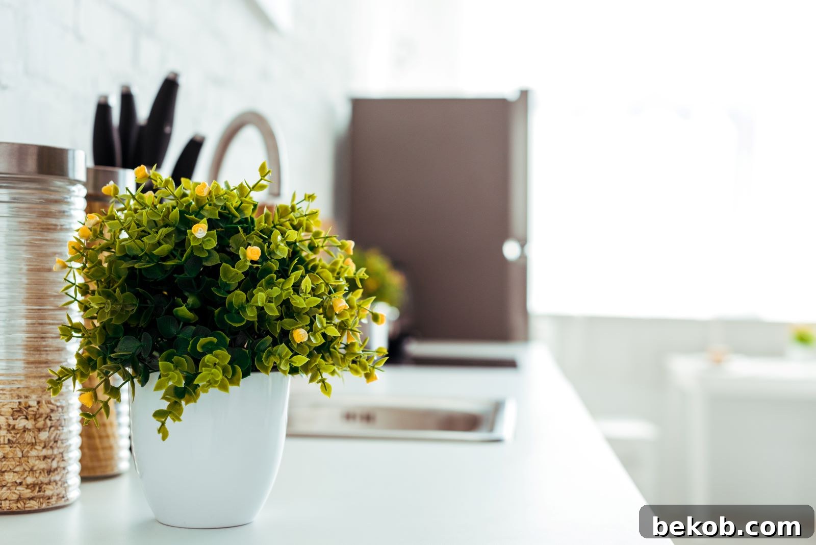 Micro Kitchen Magic 10 Genius Ideas for Stylish Small Spaces 14 Kitchen Plant