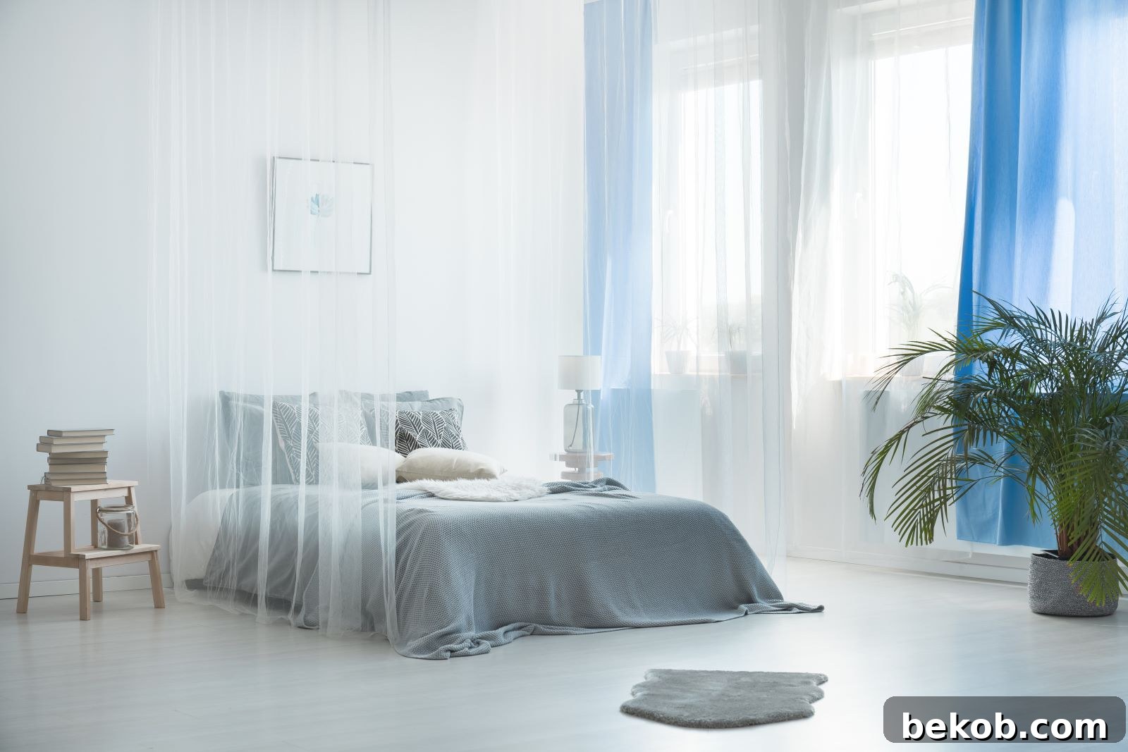 Romantic Canopy Drapes