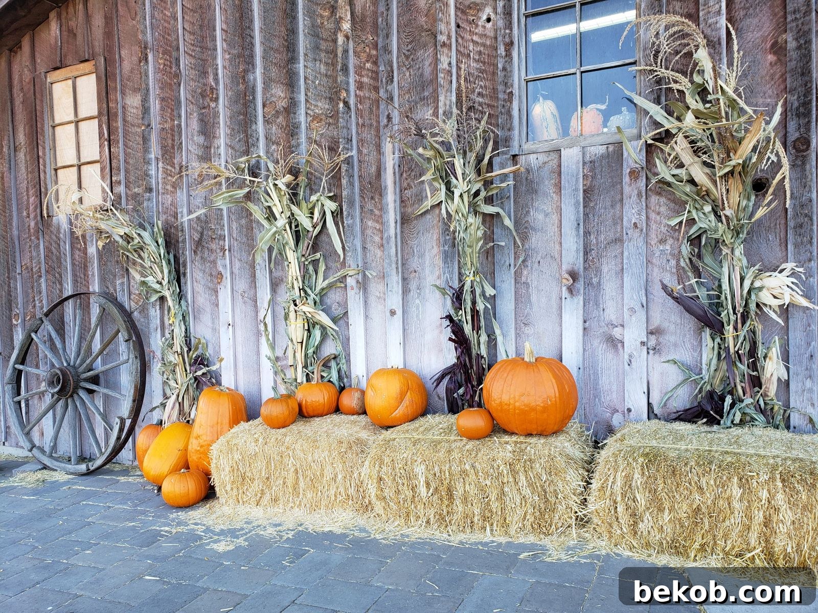 Corn Stalk Decor