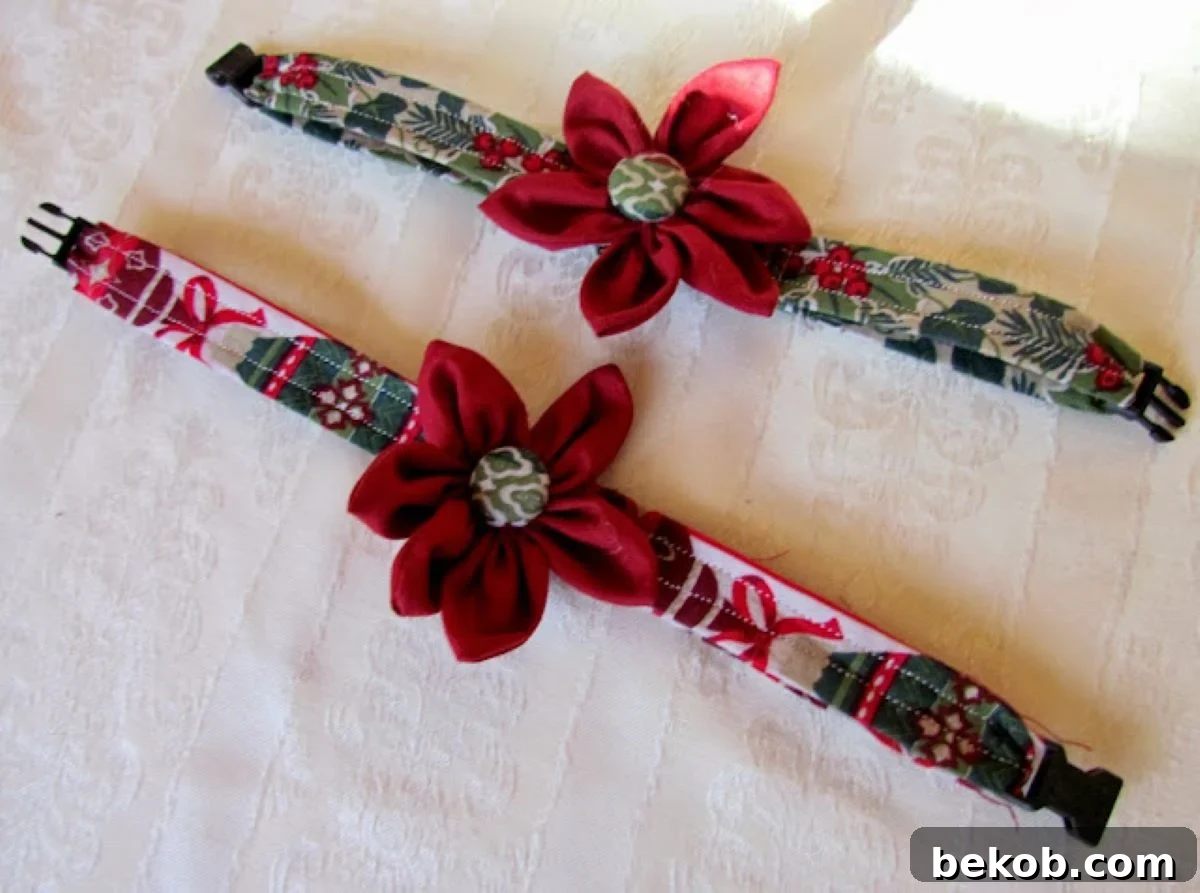 Poinsettia Pet Collar Growing Puppies