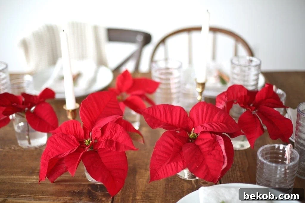 Poinsettia Flower Table Centerpiece Julie Blannerrecipe