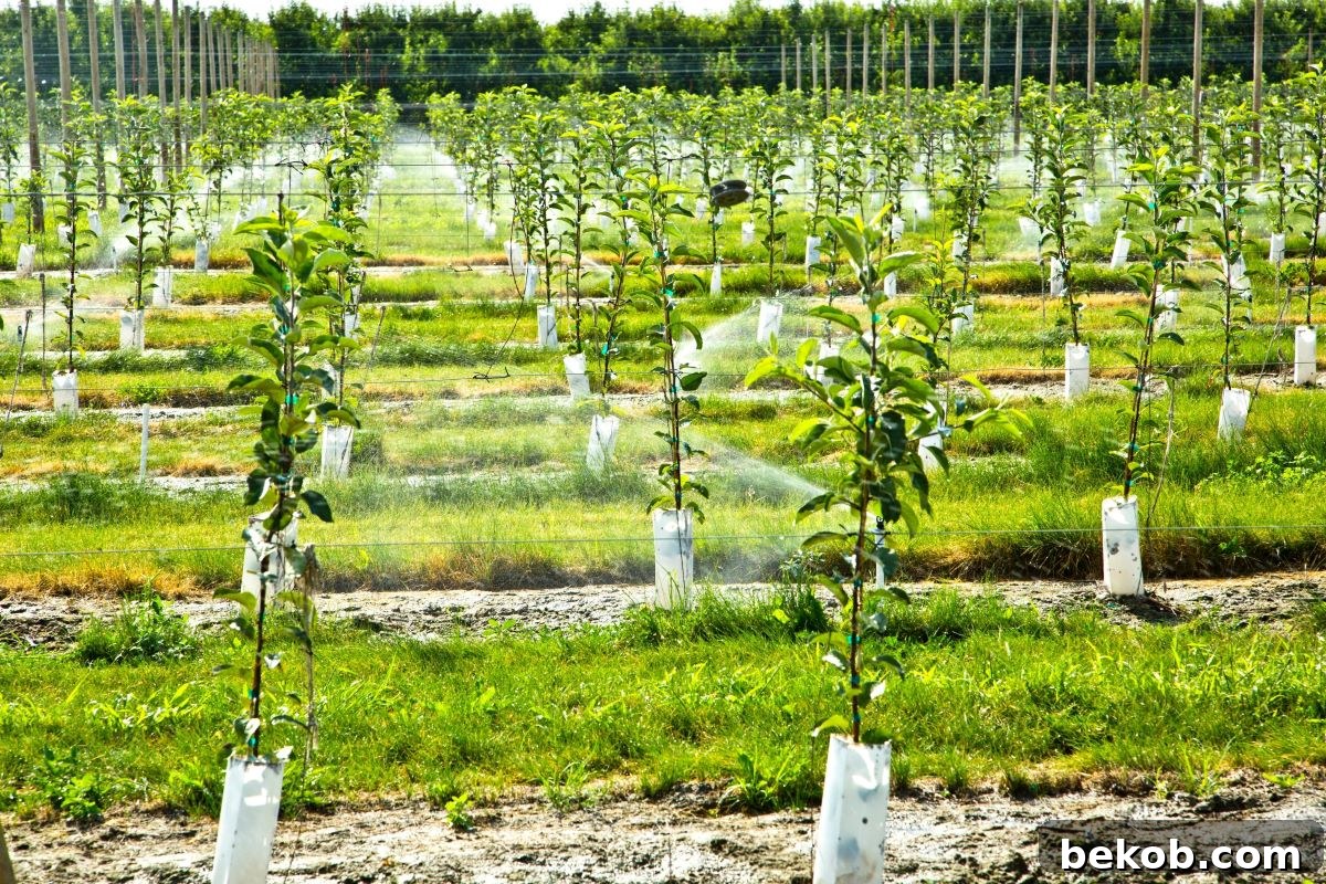 Automatic Plant Watering System