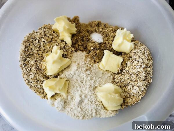 Mixing the dry ingredients for Raspberry Oatmeal Bars.